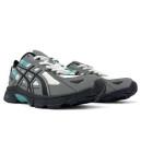 Asics Gel Venture 6 Gore-Tex Gray 1203A245-020